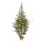 6ft. Pre-Lit Fraser Fir Artificial Christmas Tree, Clear LED Lights
